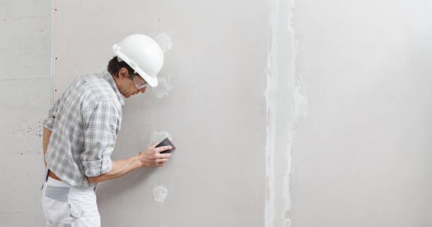 Best Mold Remediation for Rental Properties  in First Mesa, AZ