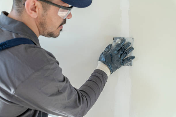 Best Mold Damage Restoration  in First Mesa, AZ